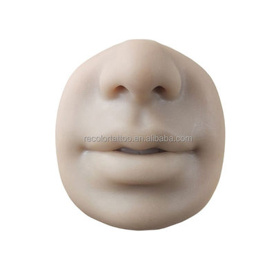 Private Label Simuliertes Silikon-Gesichtsmerkmale-Set Menschliches Punktionsübungsmodell Lehrmittel für Permanent Make-up Augen